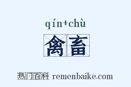 禽畜是什么意思的图片
